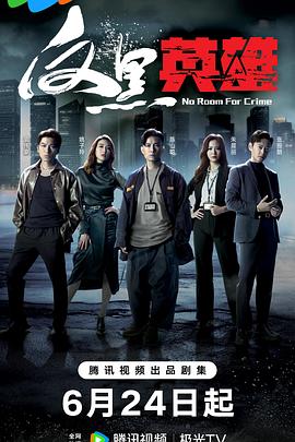 seo项目怎么写经历